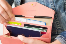 Anti Bokek, Ini 4 Warna Dompet yang Bisa Menarik Rezeki dan Cuan Berlimpah Menurut Ilmu Fengshui