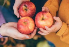 Dibalik Segudang Manfaatnya, Ternyata Cuka Sari Apel Memiliki Efek Samping untuk Penggunanya