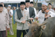 Serahkan Hewan Kurban, Bupati Bengkulu Utara Sholat Idul Adha di Masjid Agung