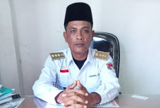 DBD Mengancam, Camat XIV Koto Ajak Warga Giatkan PSN