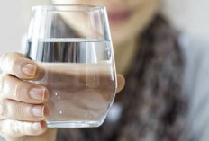 Kenapa Diwajibkan Minum Segelas Air Putih Setelah Bangun Tidur? Ternyata Ini Alasannya