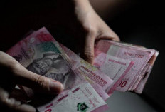 Selain Urusan Jodoh, Zodiak Juga Bisa Menentukan Usaha yang Cocok  untuk Kamu Dapat Cuan