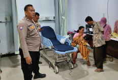 Selain Anak-anak Jadi Korban, Anjing Liar Juga Teror Ternak Kambing