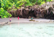 Pantai Ujung Batu, Wisata Bahari yang Paling Hits di Pulau Enggano Bengkulu