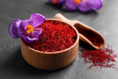 Kenapa Saffron Dijuluki Rempah Paling Mahal? Ternyata Ini Alasannya 