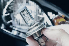 Hemat Aki, 5 Rekomendasi Lampu LED Mobil Super Terang, Tidak Silau dan Ramah di Kantong