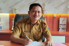 Dinas Pertanian Dorong Petani Kembangkan Integrasi Ternak dan Sawit
