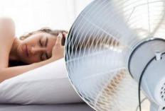 Tak Perlu Keluar Biaya Mahal, Kamu Bisa Perbaiki Kipas Rusakmu Hanya Gunakan Jarum Pentul