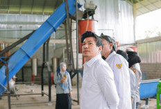 Mandek Dari 2019, Pabrik Minyak Goreng di Marga Sakti Butuh Suntikan Investor