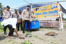 Terdampak Abrasi, Kapolda: Pusat Konservasi Penyu Butuh Perhatian Bersama