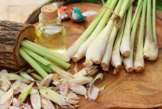 Dikira Cuma untuk Bumbu Masakan, Ternyata Ini Khasiat Daun Serai Bagi Kesehatan, yang Sering Flu Wajib Tahu