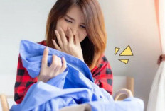 Tak Perlu Cuci Ulang, Begini Trik Basmi Bau Apek di Pakaian dengan Mudah