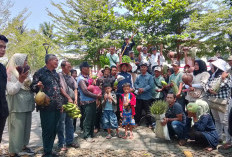 Kelompok Petani Tanjung Sakti Bawa Uang dan Hasil Bumi ke PN Mukomuko, Pembayaran Rp3 Miliar Ditolak