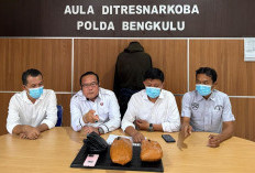 Polda Bengkulu Gagalkan Transaksi Ganja di Jalan Rinjani