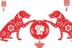 Terlampau Beruntung, 3 Shio Ini Akan Terus Mendapat Hadiah dari Dewi Fortuna Selama 1 Tahun