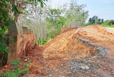 Dibiarkan Terbengkalai, Jalan Provinsi Jabi–Tanjung Alai Terjepit Longsor dari 2 Sisi