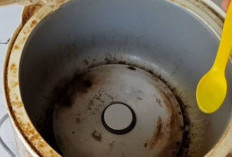 Selain Citrun dan Pasta Gigi, Begini Cara Mudah Bersihkan Rice Cooker Berkerak dengan Bahan Dapur