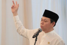 Kebijakan Efisiensi TKD, Sultan: Efektivitasnya Harus Dievaluasi