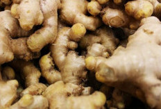 Resep Paling Mudah untuk Membuat Susu Jahe yang Pedasnya Nampol