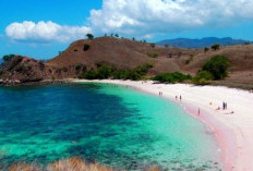 Cocok Dikunjungi Saat Libur Lebaran, Pantai Pink Bisa Berikan Sensasi Healing yang Berbeda