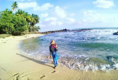 Pantai Karang Nyerbu, Wisata Bahari yang Masih Tersembunyi dan Eksotik di Bengkulu