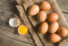 Jadi Favorit Anak Gym, Ini 5 Mitos Terkait Putih Telur dan Makanan Sehat