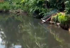Sungai Selagan Menghitam, DLH Ancam Rekomendasikan ke APH Jika Terbukti Ada Limbah
