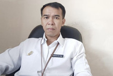 Gadget dan Perceraian Orang Tua Picu Kekerasan Seksual Anak di Mukomuko