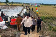 Pemkab Mukomuko Gaspol Perkuat Lumbung Pangan Daerah