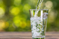 Ini Bahaya Konsumsi Air Putih Berlebihan , Bisa Sebabkan Keracunan, Ini Ciri-cirinya