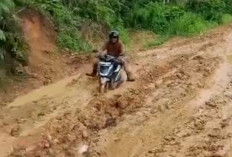 DBH Sawit Sudah Diproyeksikan, Jalan Trans Lapindo-Kinal Jaya Belum Direalisasikan