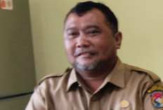 Lingkungan Kumuh Picu Ancaman DBD, Dinkes Minta Warga Lubuk Sanai III Bergerak Cepat