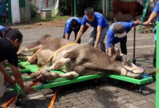 Catat! Ini 9 Amalan Sunnah di Hari Raya Idul Adha untuk Sempurnakan Ibadah