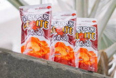 Mencicipi Kerupuk Gurita, Jajanan Kesukaan Gen Z di Bengkulu