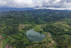 Lubang Eks Tambang Menganga, Reklamasi Disebut Sebatas Janji 