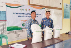 GPM dan Bantuan Pangan Jadi Pemicu Harga Beras di Mukomuko Turun