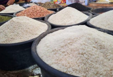 Harus Jeli dari Sekarang untuk Memilih Beras Sesuai dengan Jenisnya