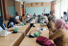 Dukung Perjuangan PPPK, DPRD Provinsi Bengkulu Pastikan Tak Ada PHK