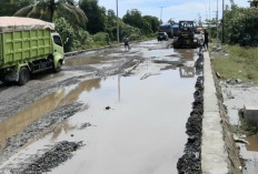 Pelindo Persiapkan Perbaikan Jalan di Kawasan Pelabuhan
