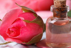 Ada Cara Tradisional yang Dipercaya Bisa Memutihkan Wajah dan Dijamin Ampuh