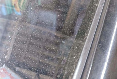 Dengan Peralatan Mandi, Kamu Bisa Membersihkan Jamur Kaca yang Bisa Mengganggu Pemandangan