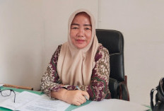 Tak Ada Alasan Anak Tidak Sekolah, Disdikbud Mukomuko Sisir Anak Putus Sekolah