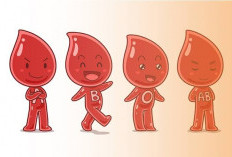 Golongan Darah Ternyata Bisa Mengetahui Sifat dan Karakter Seseorang