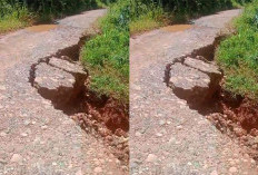 Badan Jalan Tanjung Alai-Jabi Nyaris Ludes Ditelan Longsor