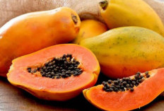 Dibalik Buah yang Lembut, Ternyata Biji Pepaya Juga Bagus untuk Jantung