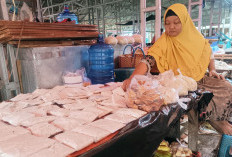 Tempe Goreng Semakin Tipis, Harga Kedelai di Bengkulu Utara Naik Drastis
