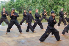 Sekali Hajar Nyawa Melayang, Ini 4 Bela Diri Paling Ditakuti dan Mematikan di Dunia, Nomor 4 dari Indonesia!