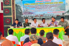 PT MPM Bidik Hilirisasi Kernel Sawit, Bangun Pabrik Berkapasitas 100 Ton/Hari 