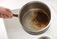 Jangan Beli Baru! Ini Cara Mudah Perbaiki Panci Bocor dengan Minyak Kayu Putih Agar Tahan Selamanya