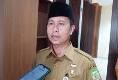 Tahun Ini, Pemprov Bengkulu Pastikan Tak Usulkan Formasi CASN 